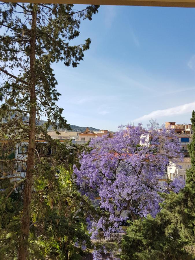 Estudiosol40 Torremolinos Buitenkant foto