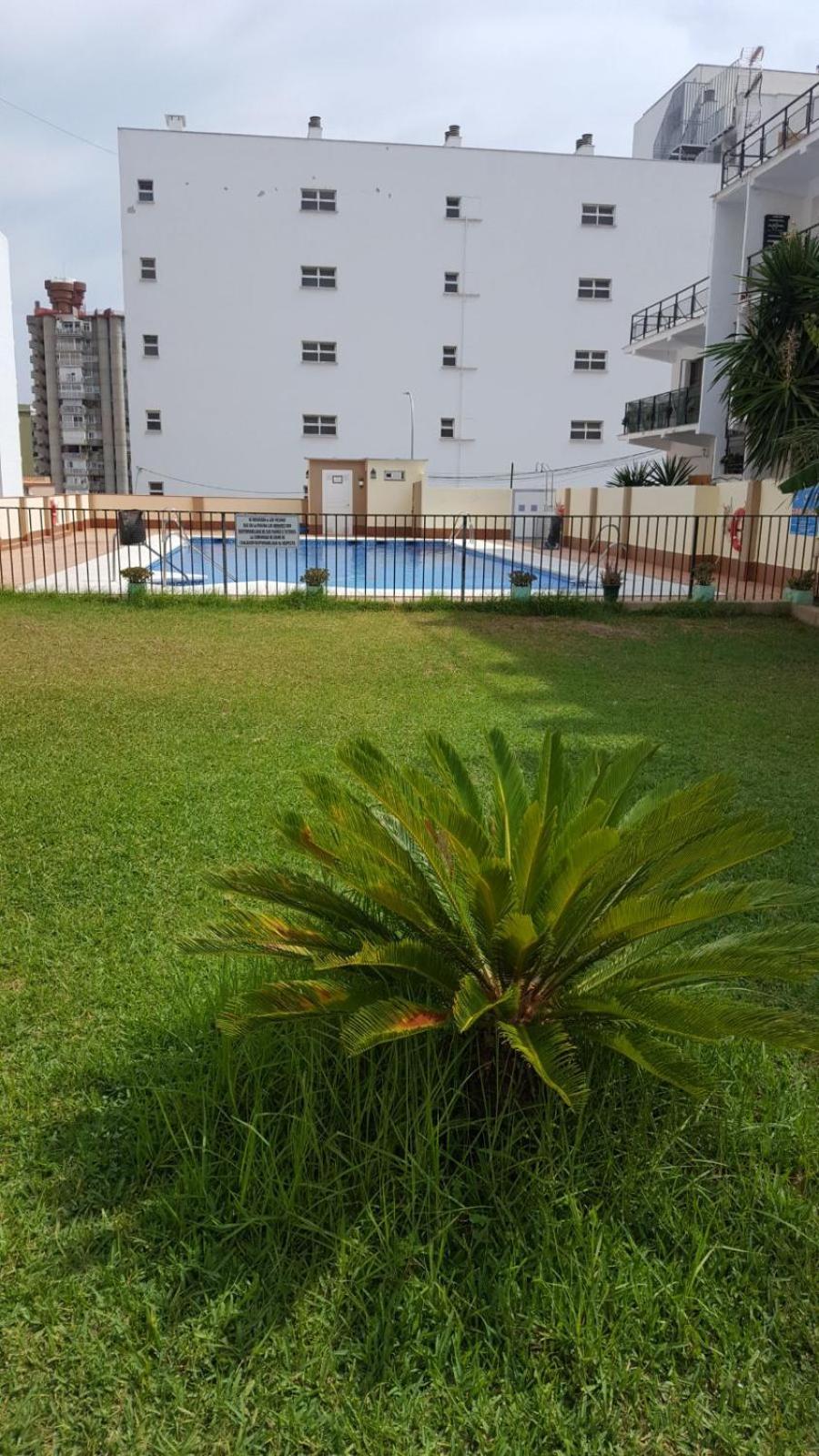 Estudiosol40 Torremolinos Buitenkant foto